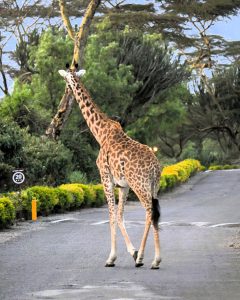 480562661_1425774152135841_7091217764701855636_n