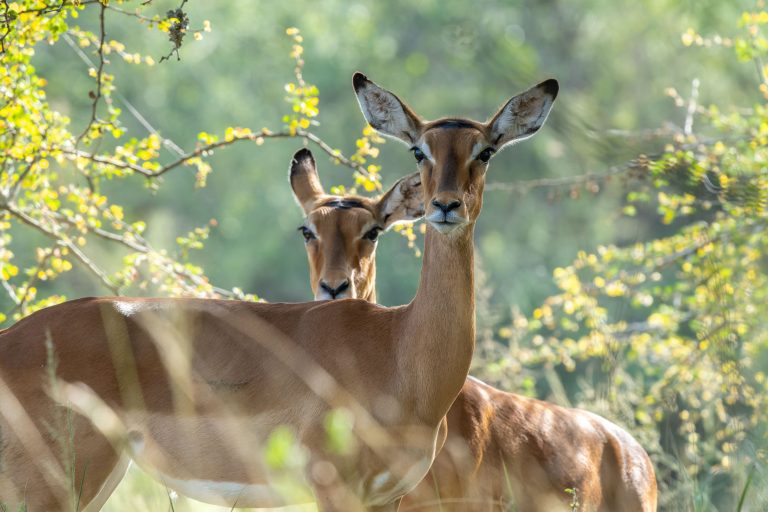 _DSC3404-ARW_DxO_DeepPRIME